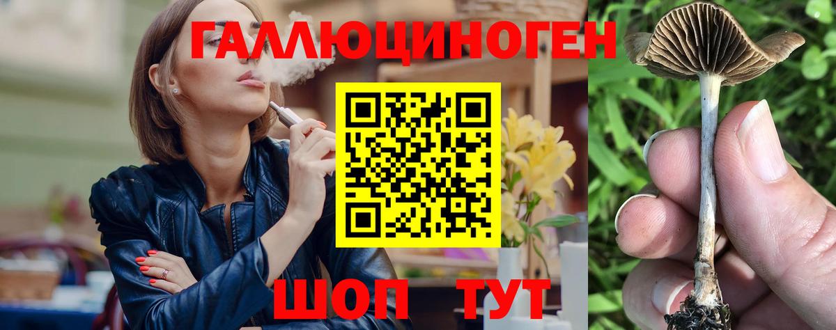 Галлюциногенные грибы Magic Shrooms Гудермес