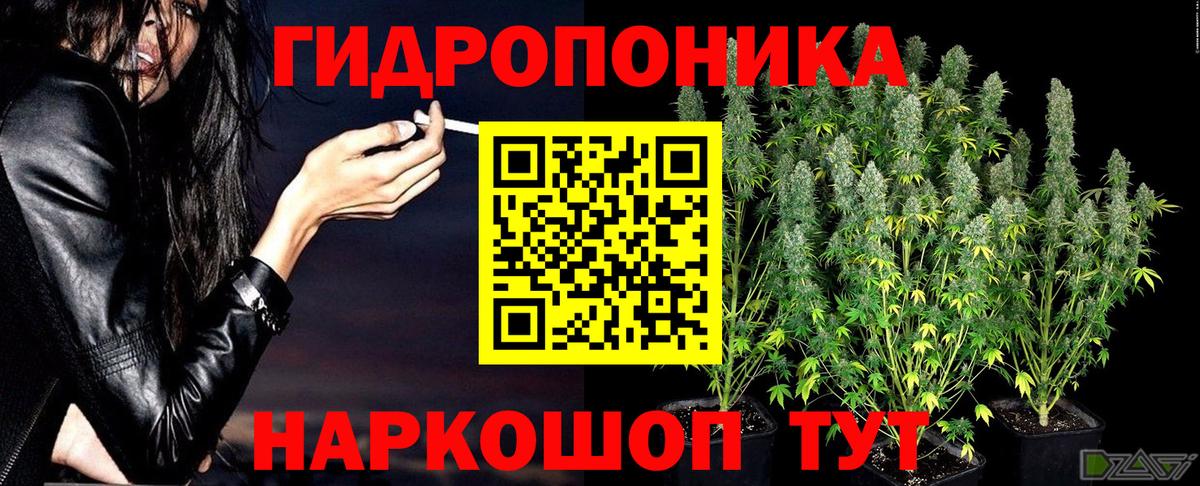 Канабис сатива  Бошки марихуана сатива  Вход с VPN  Гудермес  Бошки Шишки сатива 